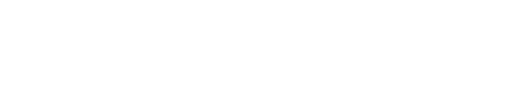 FJHERMANN CONSULTING